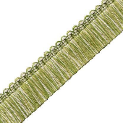 Westport Brush Fringe Trim by Samuel & Sons in Spring Green