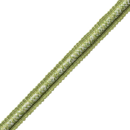 Westport Gimp Trim by Samuel & Sons in Spring Green