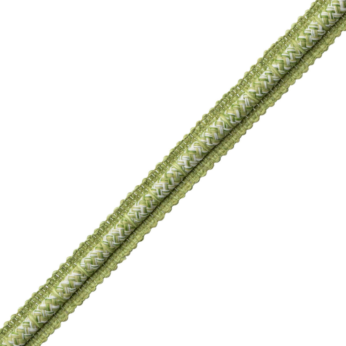 Westport Gimp Trim by Samuel & Sons in Spring Green