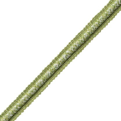 Westport Gimp Trim by Samuel & Sons in Spring Green