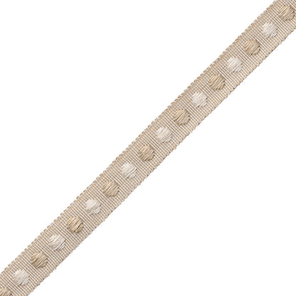 Romaunt Gimp Trim by Samuel & Sons in Boreas Oyster