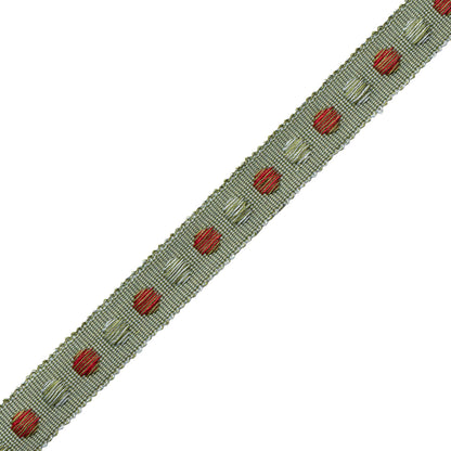 Romaunt Gimp Trim by Samuel & Sons in Arcadia Multi