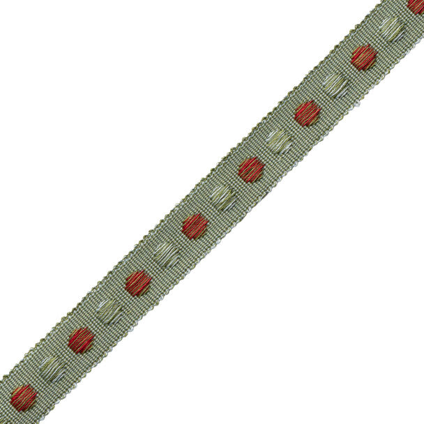 Romaunt Gimp Trim by Samuel & Sons in Arcadia Multi