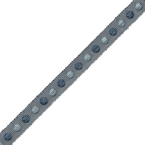 Romaunt Gimp Trim by Samuel & Sons in Waterhouse Blue
