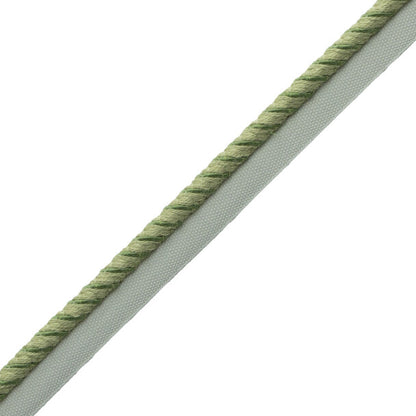 Ashton Cord With Tape Trim by Samuel & Sons in Verdant Moor