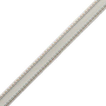 Ashton Border Trim by Samuel & Sons in Lambswool