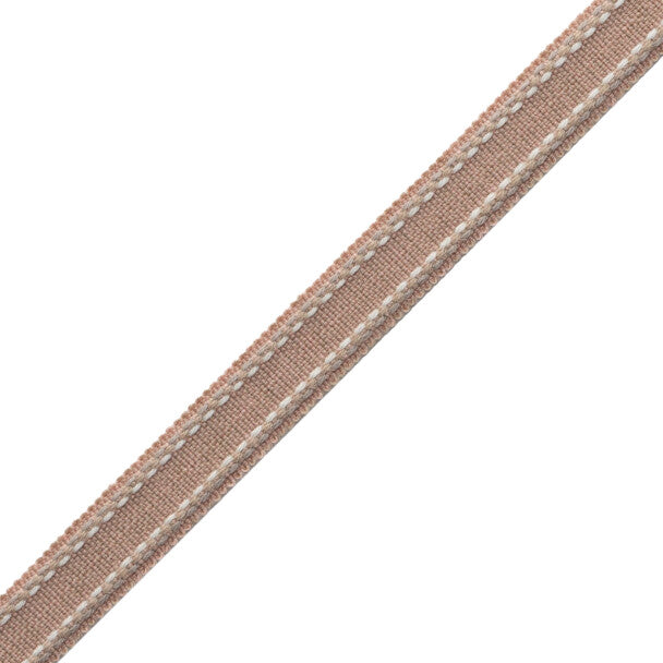 Ashton Border Trim by Samuel & Sons in Foxglove