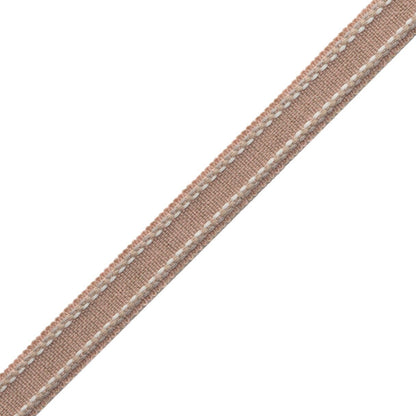 Ashton Border Trim by Samuel & Sons in Foxglove