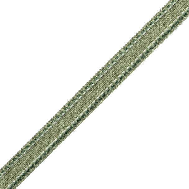 Ashton Border Trim by Samuel & Sons in Verdant Moor