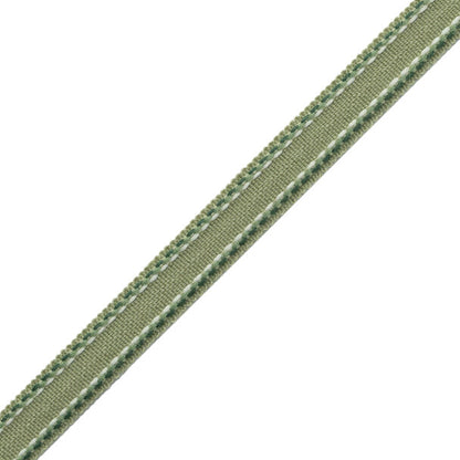 Ashton Border Trim by Samuel & Sons in Verdant Moor
