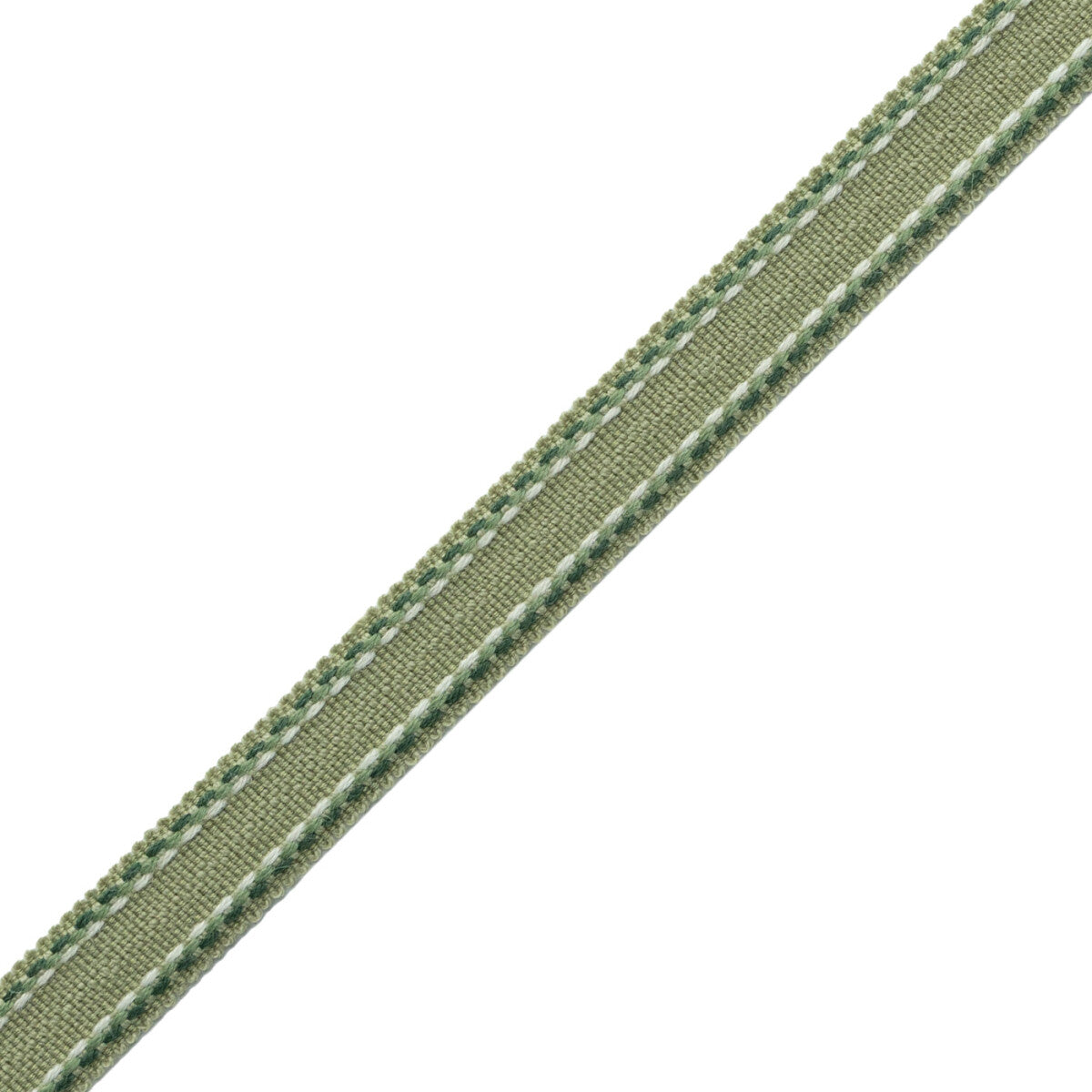 Ashton Border Trim by Samuel & Sons in Verdant Moor