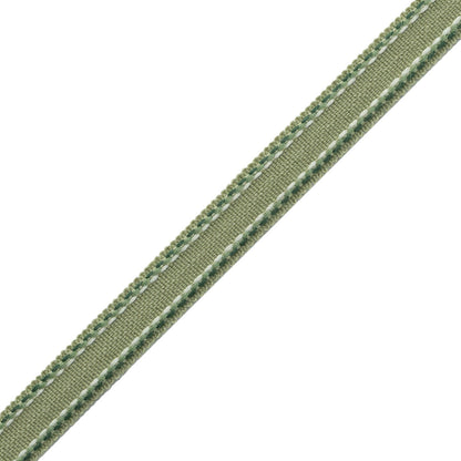 Ashton Border Trim by Samuel & Sons in Verdant Moor