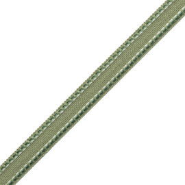 Ashton Border Trim by Samuel & Sons in Verdant Moor