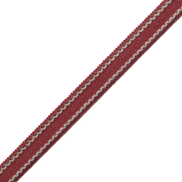 Ashton Border Trim by Samuel & Sons in Berrywood