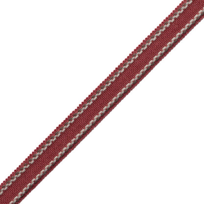 Ashton Border Trim by Samuel & Sons in Berrywood