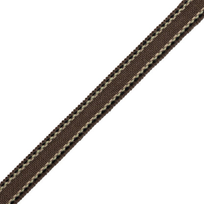 Ashton Border Trim by Samuel & Sons in Heathcliff Brown