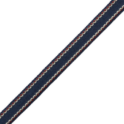 Ashton Border Trim by Samuel & Sons in Savile Navy