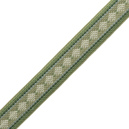Ashton Diamond Border Trim by Samuel & Sons in Verdant Moor