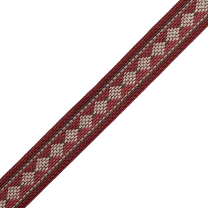 Ashton Diamond Border Trim by Samuel & Sons in Berrywood