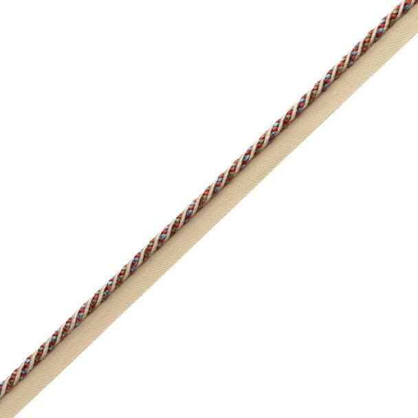 Katerina Cord With Tape Trim by Samuel & Sons in Cloisonné