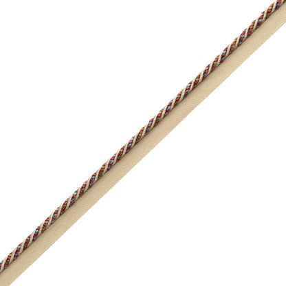 Katerina Cord With Tape Trim by Samuel & Sons in Cloisonné