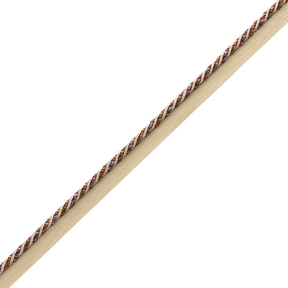 Katerina Cord With Tape Trim by Samuel & Sons in Cloisonné