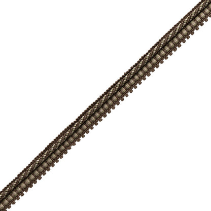 Katerina Cord Gimp Trim by Samuel & Sons in Walnut Grove
