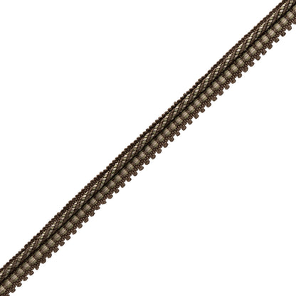 Katerina Cord Gimp Trim by Samuel & Sons in Walnut Grove