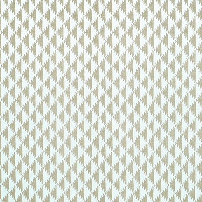 TRH2668 Fabric