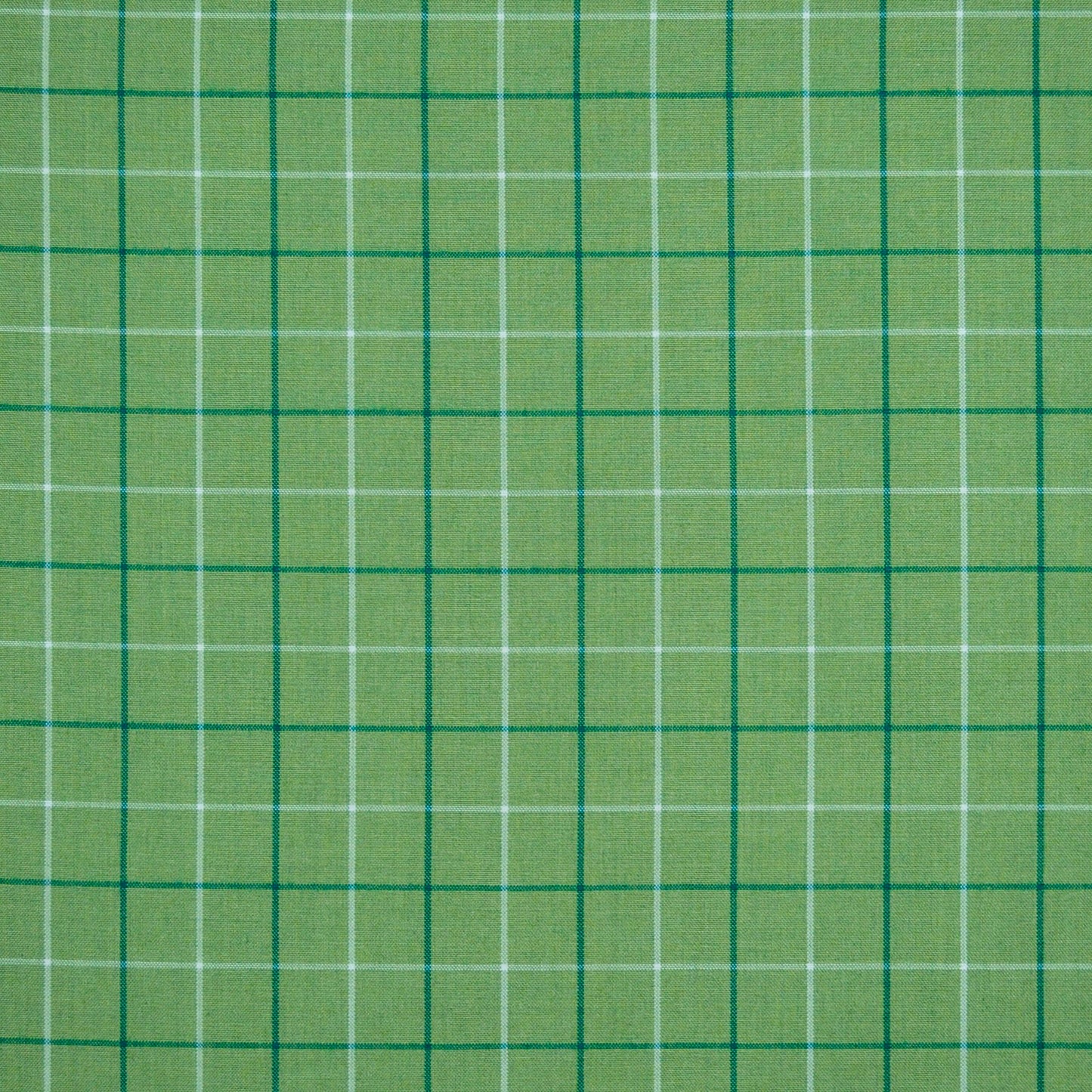 TRH2138 Fabric