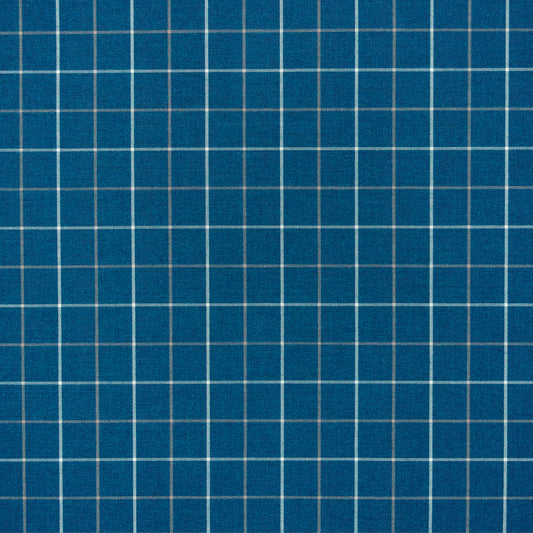 TRH2138 Fabric