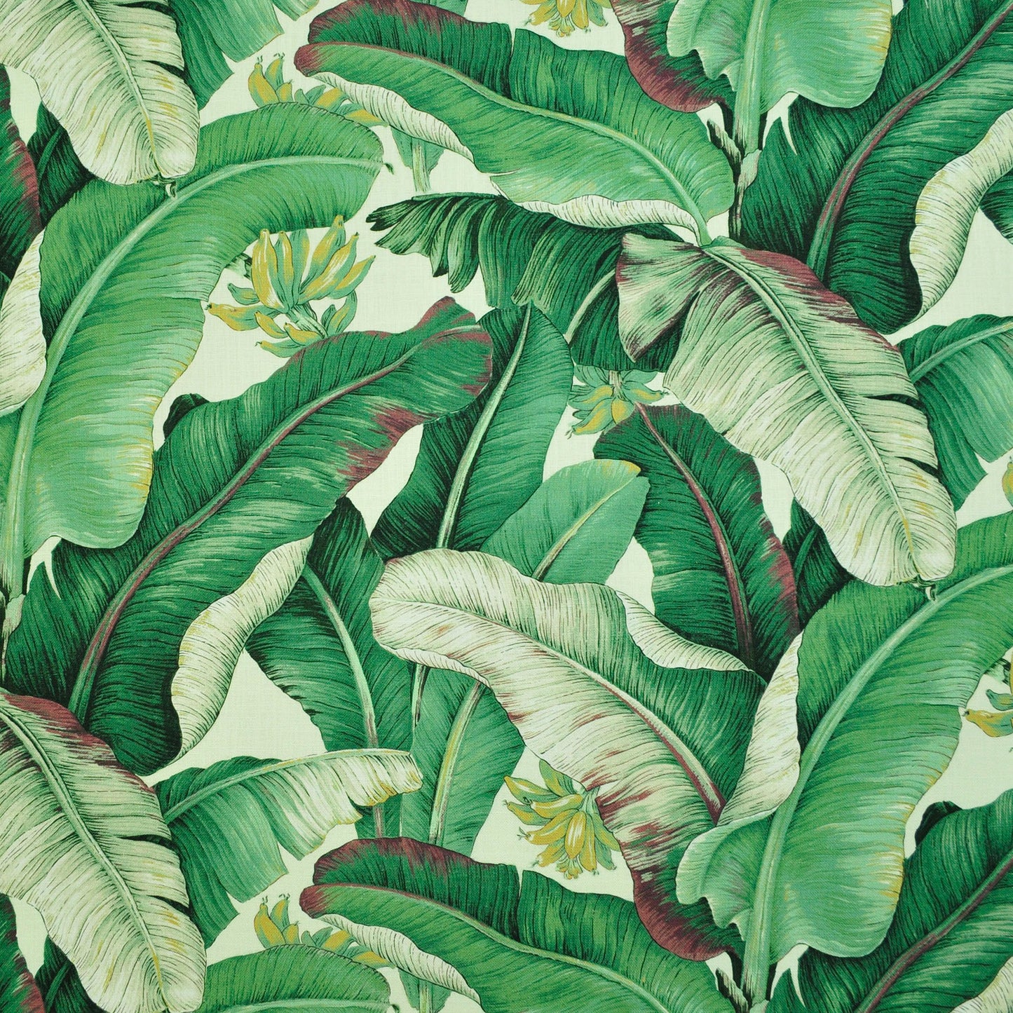TRH2611 Fabric