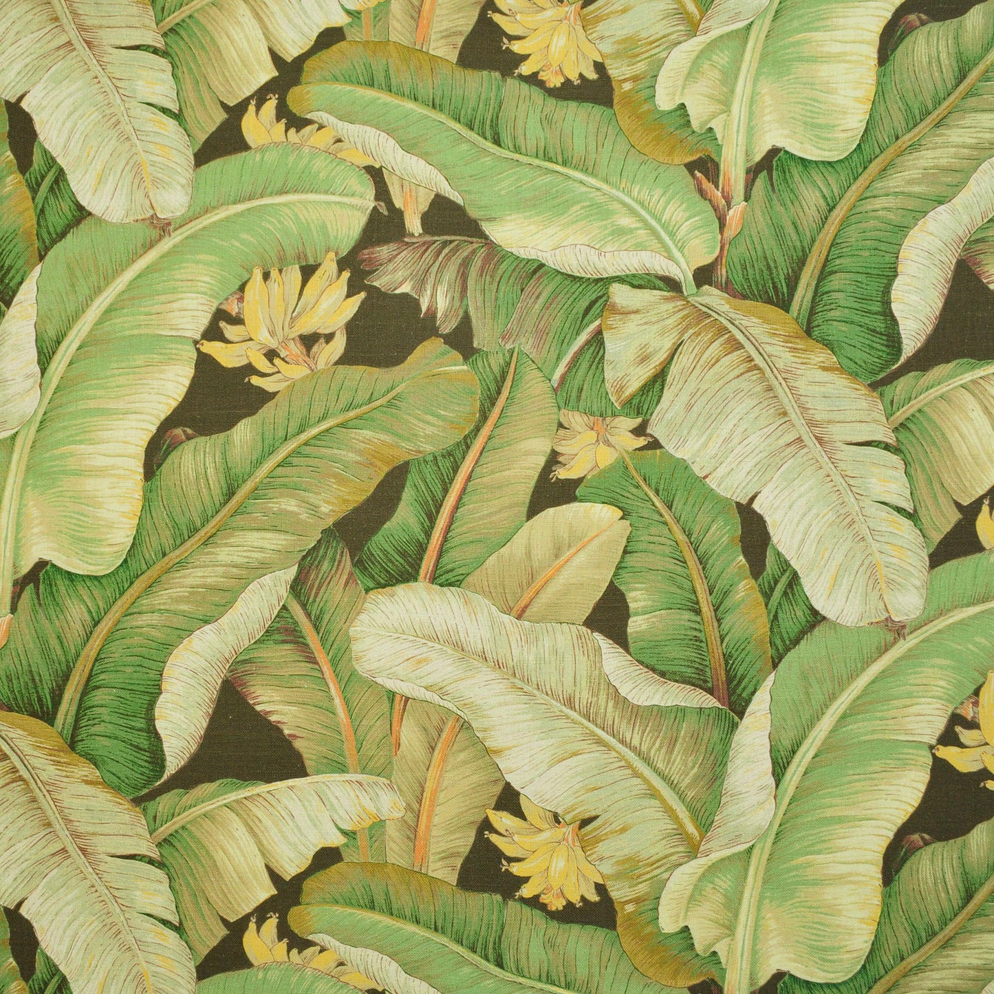 TRH2611 Fabric