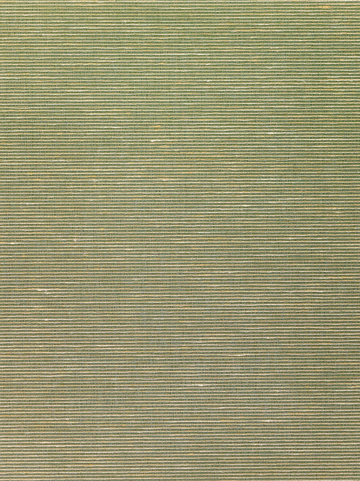 Bailey Wallpaper by Holland & Sherry in Wight