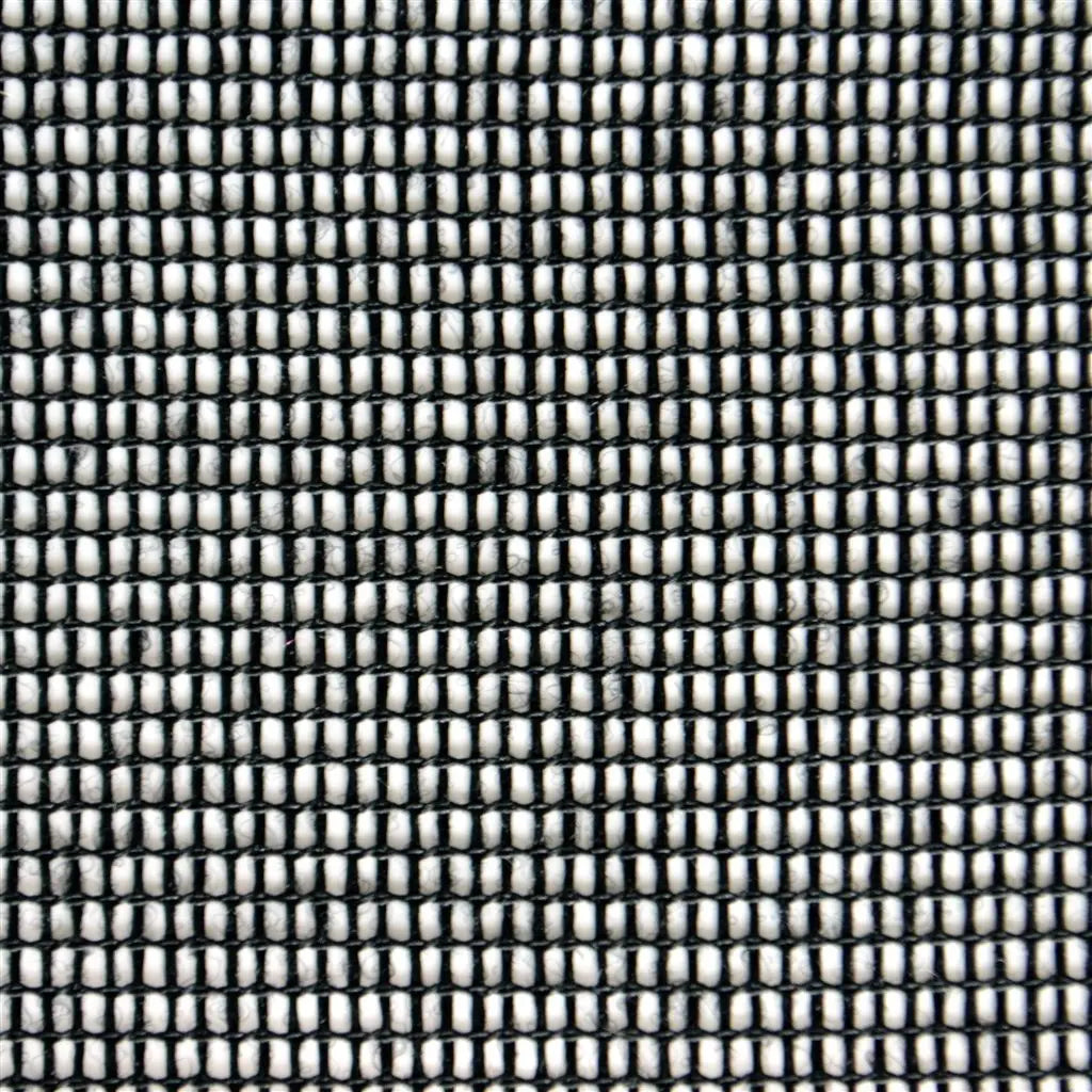 Monza Fabric by Designers Guild in Noir