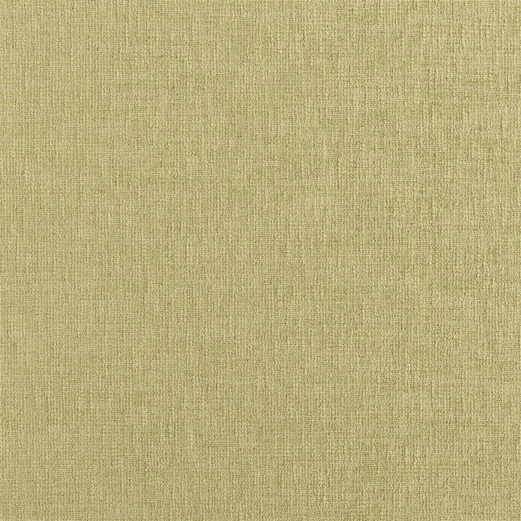 Kalutara Fabric by Designers Guild in Meadow