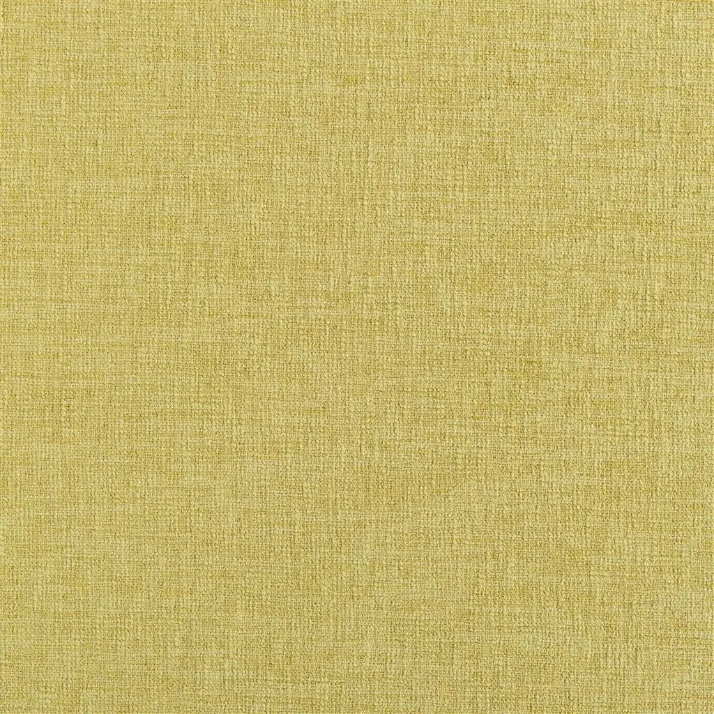 Kalutara Fabric by Designers Guild in Acacia
