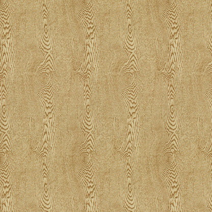 Wood Fabric by Brunschwig & Fils in Tan