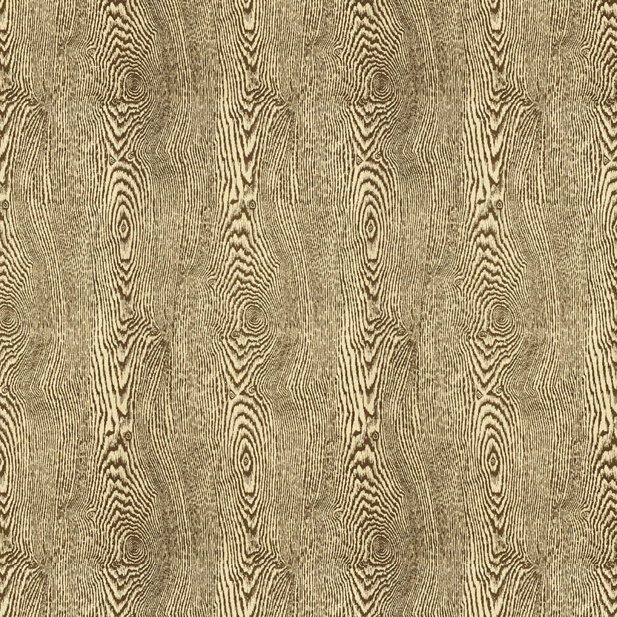Wood Fabric by Brunschwig & Fils in Bark