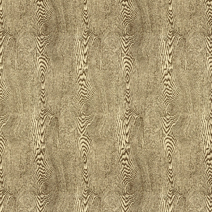 Wood Fabric by Brunschwig & Fils in Bark