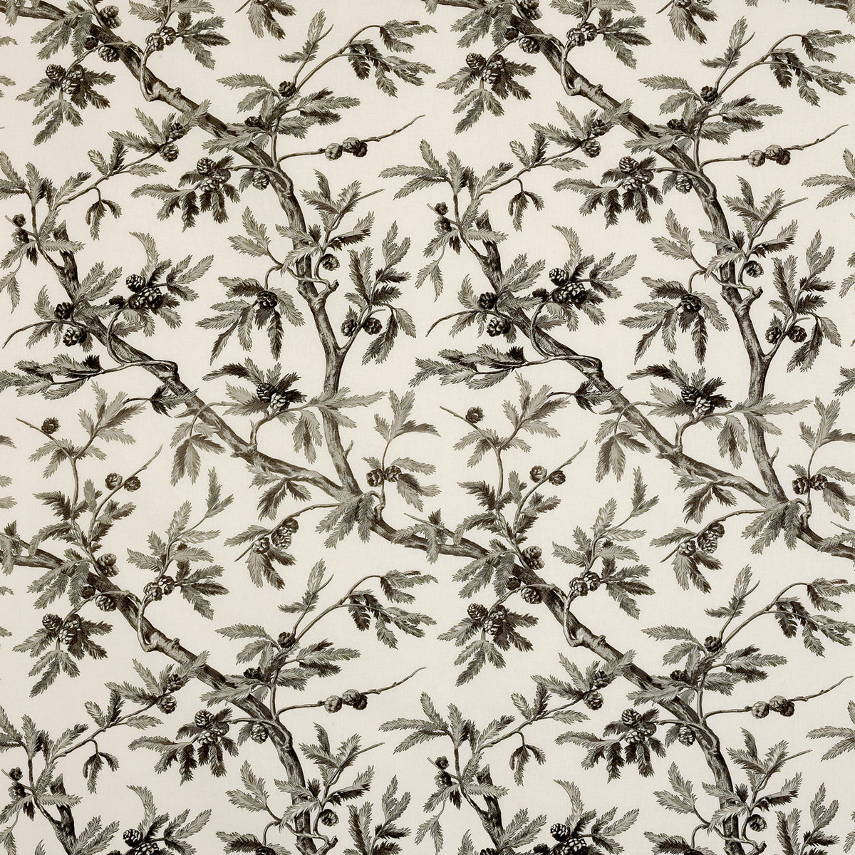 Branches De Pin Fabric by Brunschwig & Fils in Beigegrey