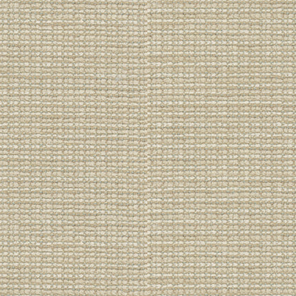 Tepey Chenille Fabric by Brunschwig & Fils in Oyster