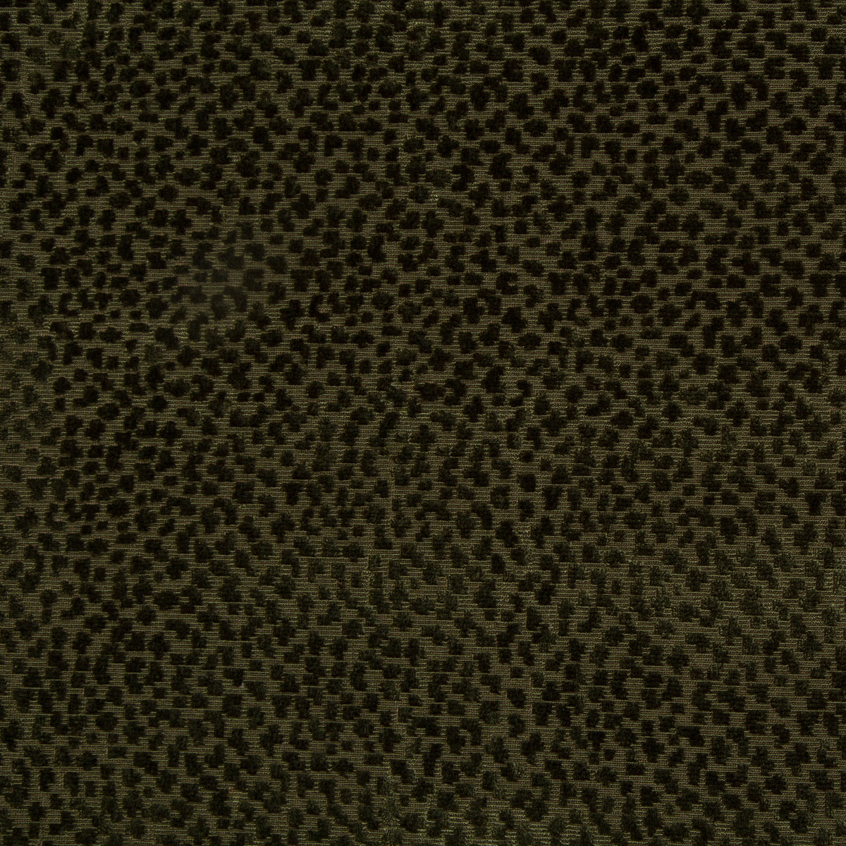 La Panthere Velvet Fabric by Brunschwig & Fils in Green