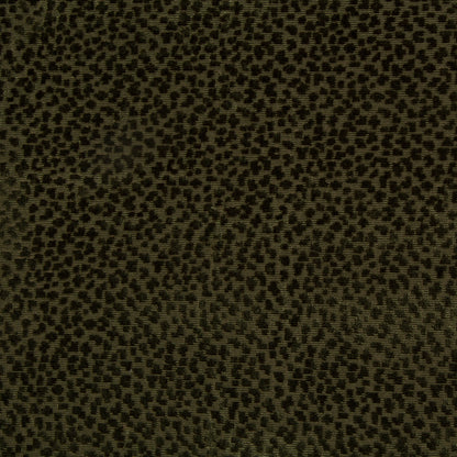 La Panthere Velvet Fabric by Brunschwig & Fils in Green