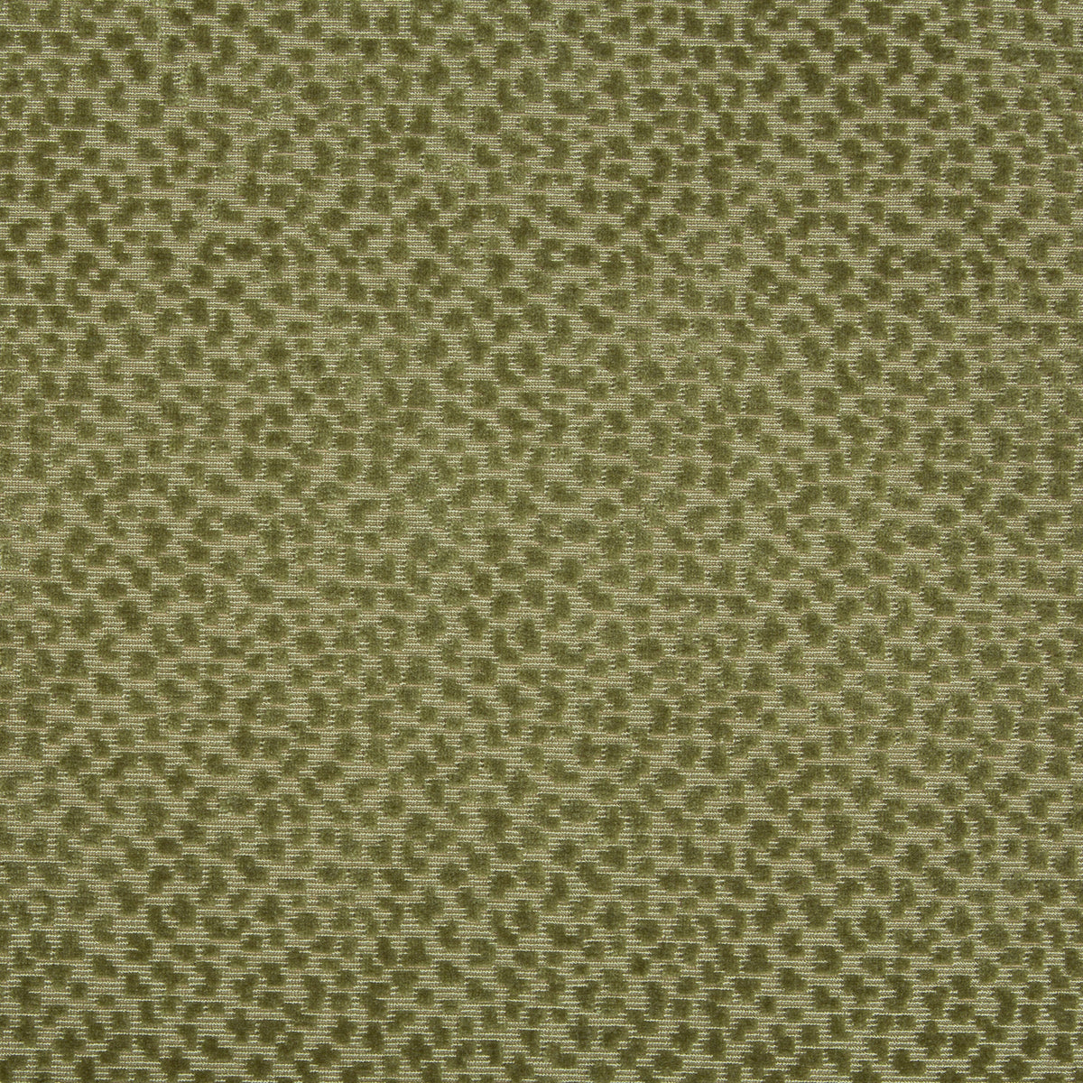 La Panthere Velvet Fabric by Brunschwig & Fils in Moss