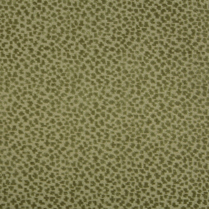 La Panthere Velvet Fabric by Brunschwig & Fils in Moss