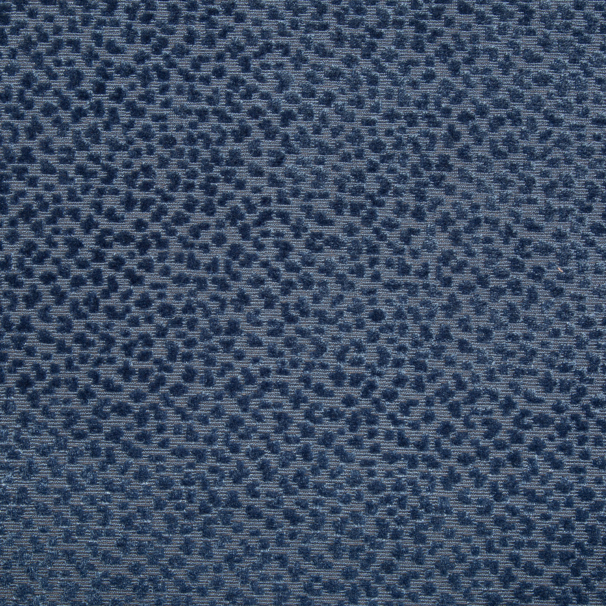 La Panthere Velvet Fabric by Brunschwig & Fils in Blue