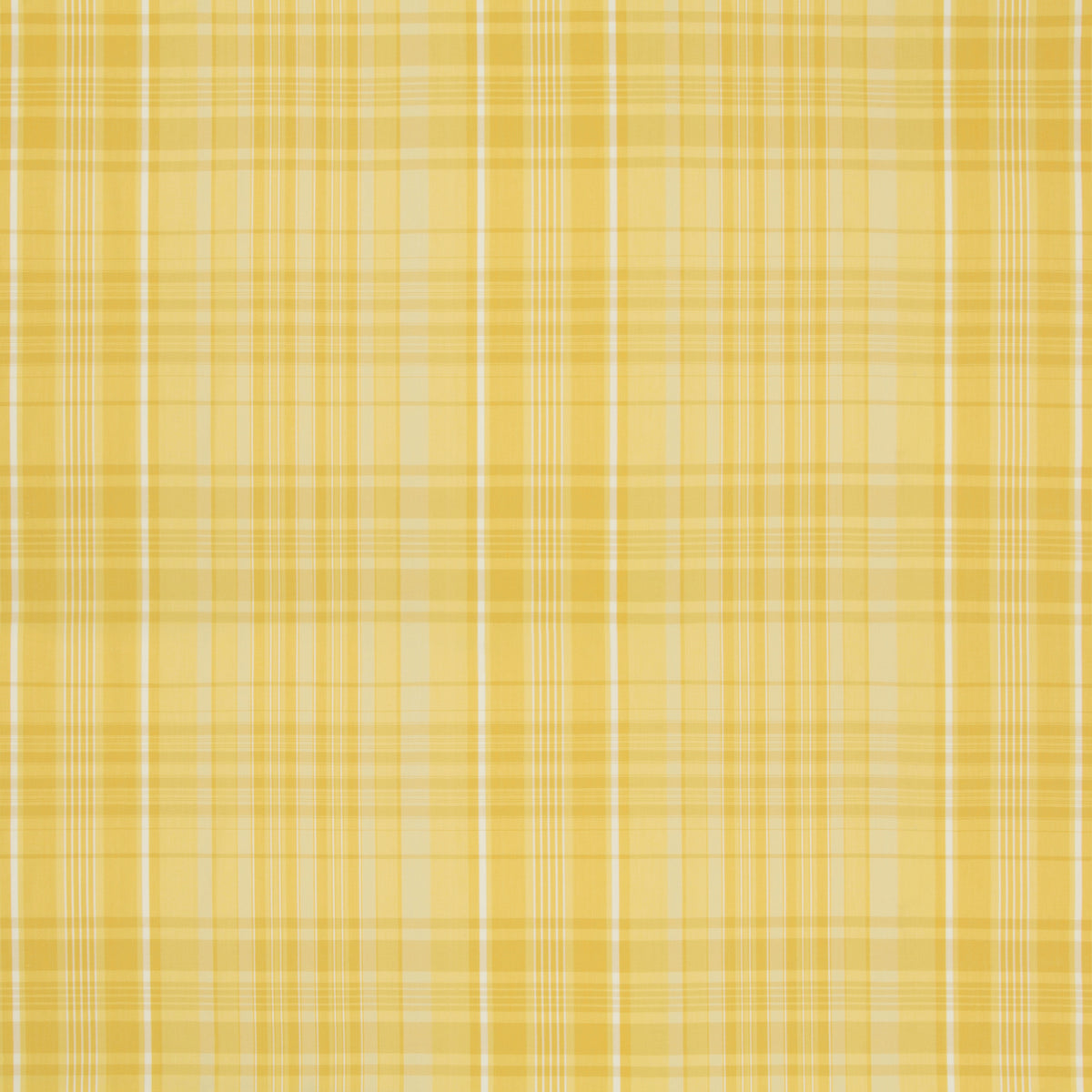 Guernsey Check Fabric by Brunschwig & Fils in Yellow