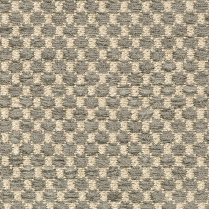 Ecrins Texture Fabric by Brunschwig & Fils in Grey