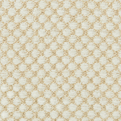 Ecrins Texture Fabric by Brunschwig & Fils in Pearl